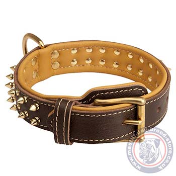 Padded Leather Dog Collar