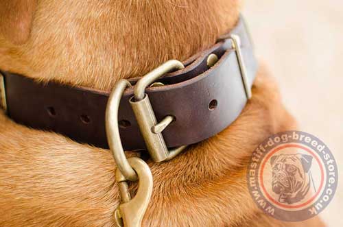 Strong Dog Collar