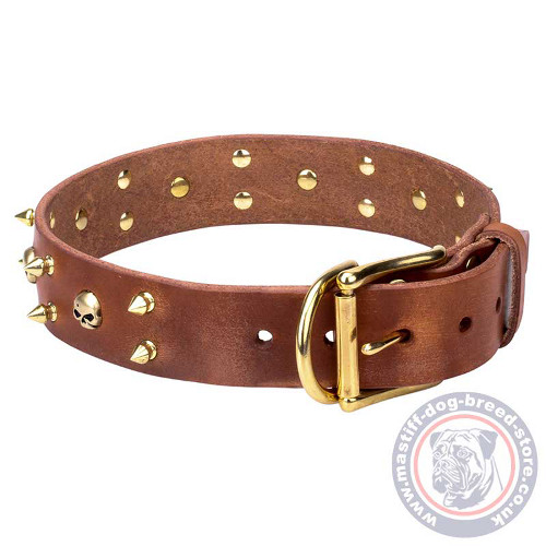 Spiked Leather Dog Collar for Mastiff