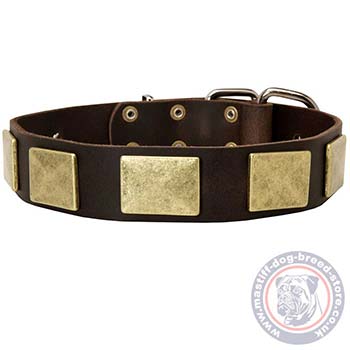 Handmade Dog Collar