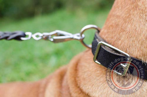 Thick Dog Collar with Buckle