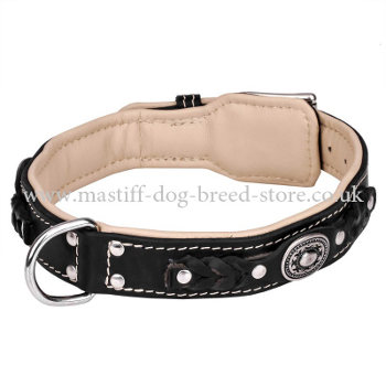 Mastiff Thick Dog Collar