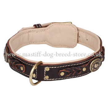 Luxury Handmade Leather Dog Collars for Large Dogs