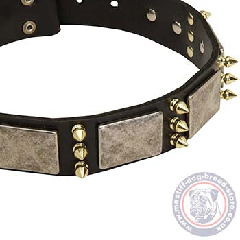 Large Dog Collars UK