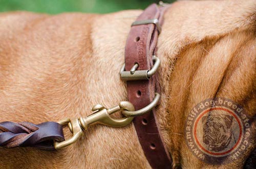 Leather Dog Collar with Studs