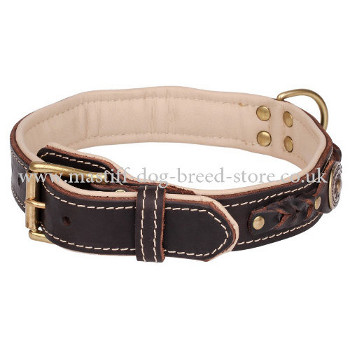 Luxury Dog Collars for Large Dogs