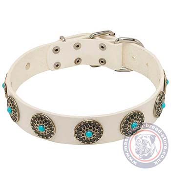 White Dog Collar for Mastiff Dogs