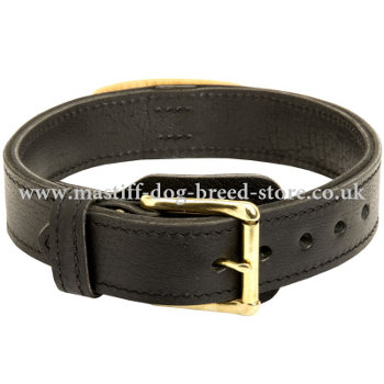 Tibetian Mastiff Collar UK