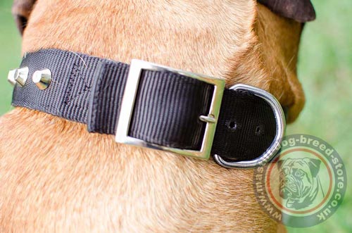 Bullmastiff Collars