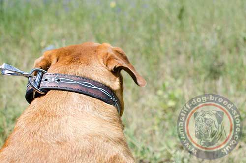 Handmade Dog Collars for French Mastiff