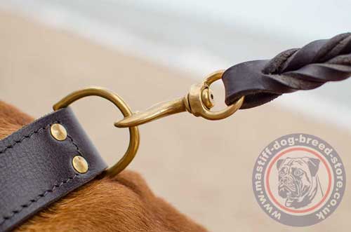 Thick Dog Collars for Large Dogs