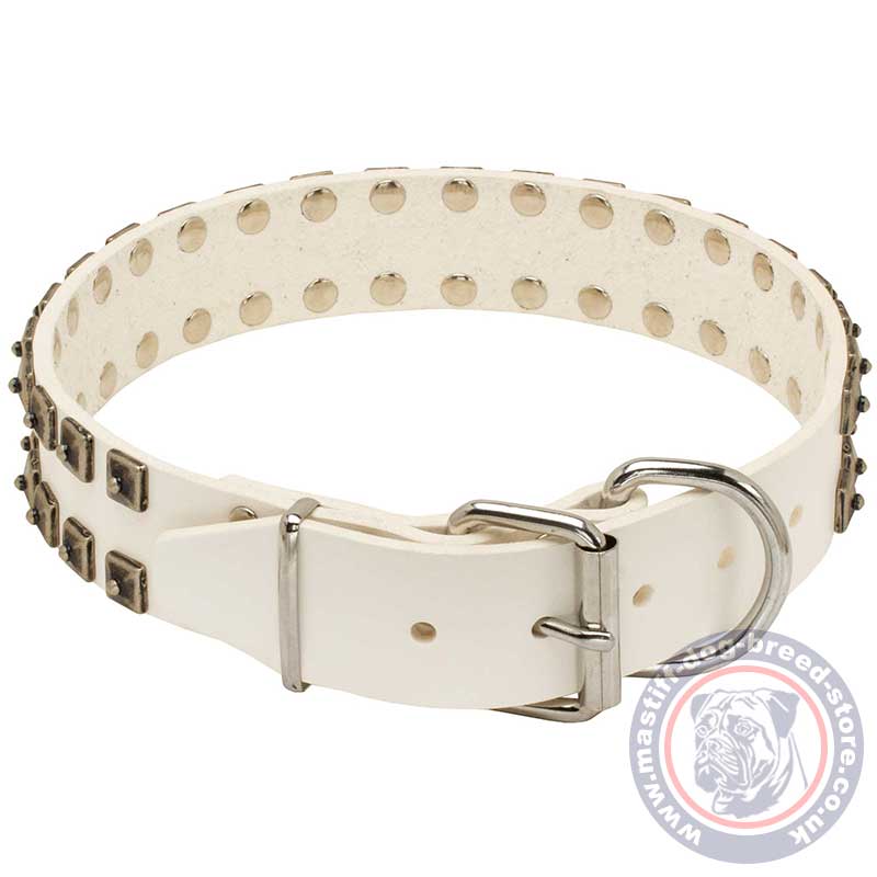 Nice Dog Collar for Mastiff Style, White Leather LIMITED EDITION