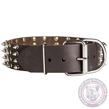 Wide Dog Collar