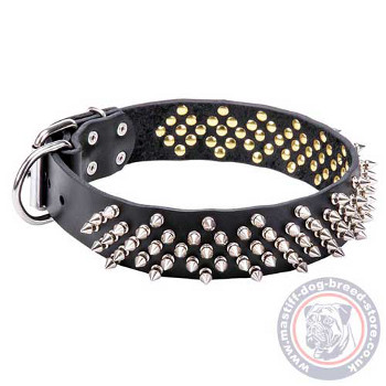 Wide Dog Collar for Mastiff