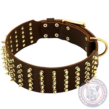 Leather Dog Collars for Bullmastiff