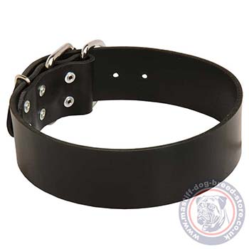 Wide Leather Collar