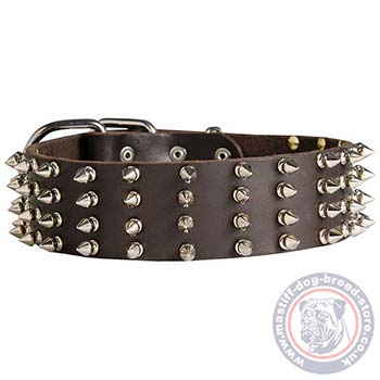 Spiked Dog Collars for Large Dogs