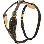 Mastiff Harness - Royal Design, the Best Harness for Dog Style and Comfort