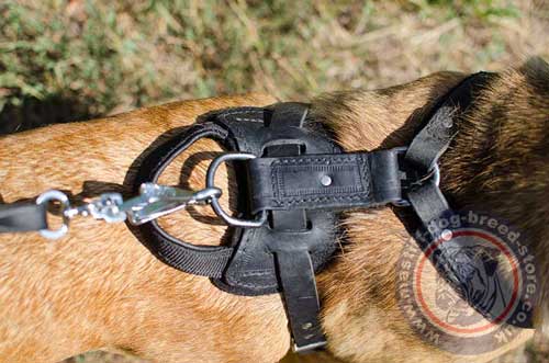 Strong Dog Harness for Cane Corso Mastiff