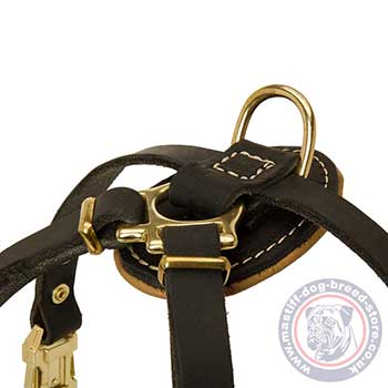 Small Mastiff Puppy Harness