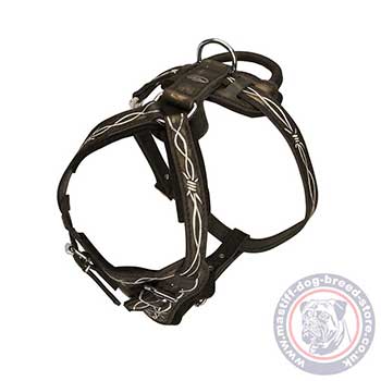 Designer Dog Harness with Handle