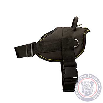 Sport Dog Harness for Mastiff