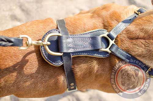 Royal Dog Harness for French Bordeaux Mastiff