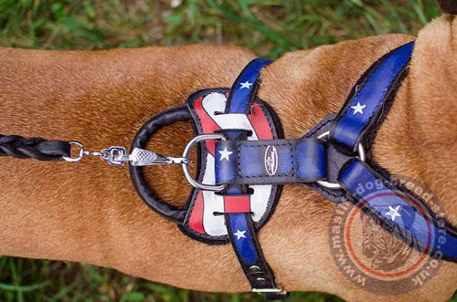 Bullmastiff Dog Harness with Handle