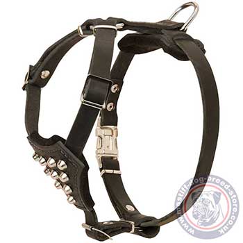 Small Dog Harness for Mastiff Puppies for Sale