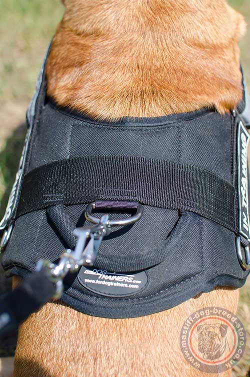 Dogue De Bordeaux Harness with Handle