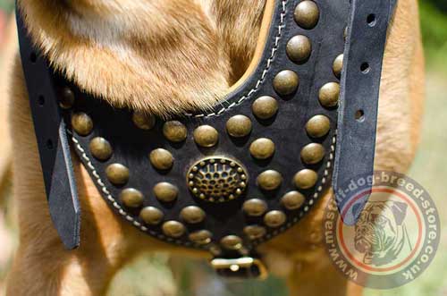Designer Dog Harness with Brass Hardware and Decorations