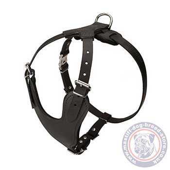 Leather Dog Chest Harness for Mastiff