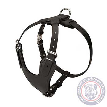 Large Dog Harness for Mastiff Size