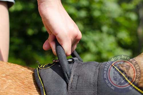 Dog Harness with Handle