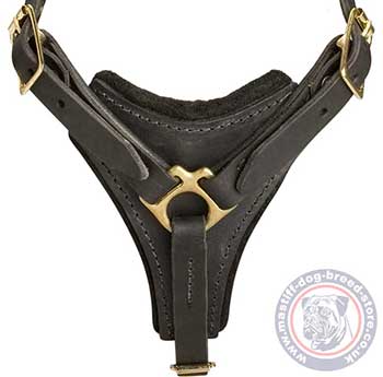 Bullmastiff Harness