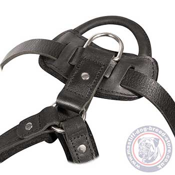 Strong Dog Harness for Cane Corso Mastiff