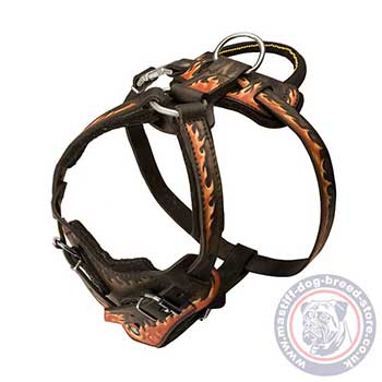 Padded Dog Harness for Mastiff Training