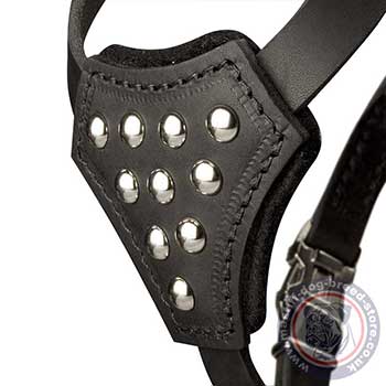 Soft Dog Harness for Mastiff Puppies