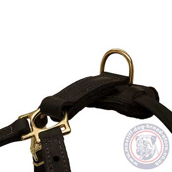 Dog Chest Harness for Bullmastiff