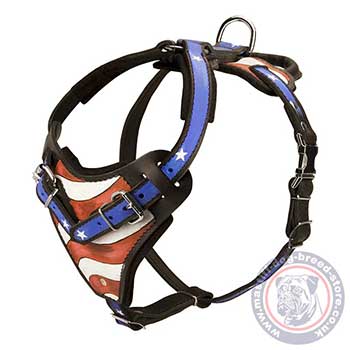 Big Dog Harness for Mastiff Breed