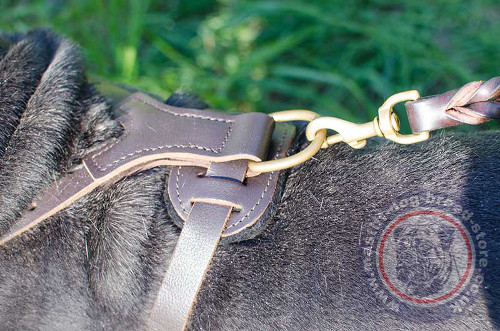 Modern Dog Harness for Mastiff Dog Breeds