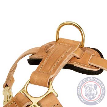 Walking Dog Harness for Mastiff