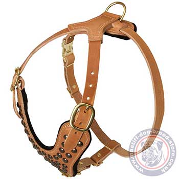 Large Leather Dog Harness