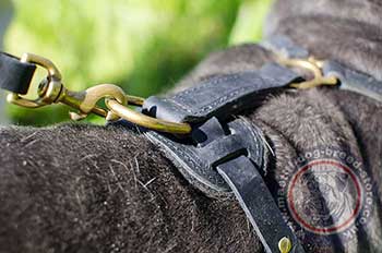 Neapolitan Mastiff Harness for Dogs Walking