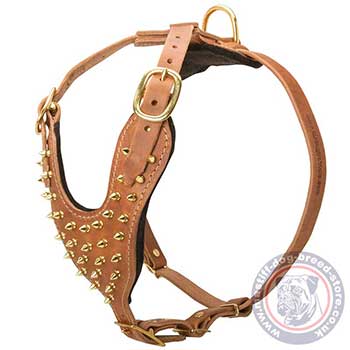 Dog Walking Harness for Mastiff Dog Breeds