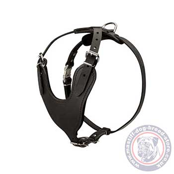 Big Dog Harness for Mastiff Dogs