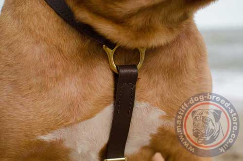 Strong Dog Harness for Big Dogue De Birdeaux Mastiff