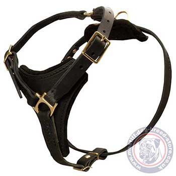 Triangle Dog Harness for Tibetian Mastiff Size
