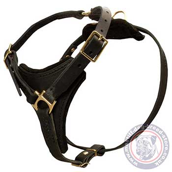 Control Dog Harness for Mastiff