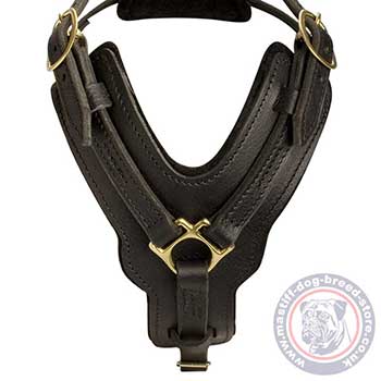 Best Dog Harness for Mastiff Dog Breeds